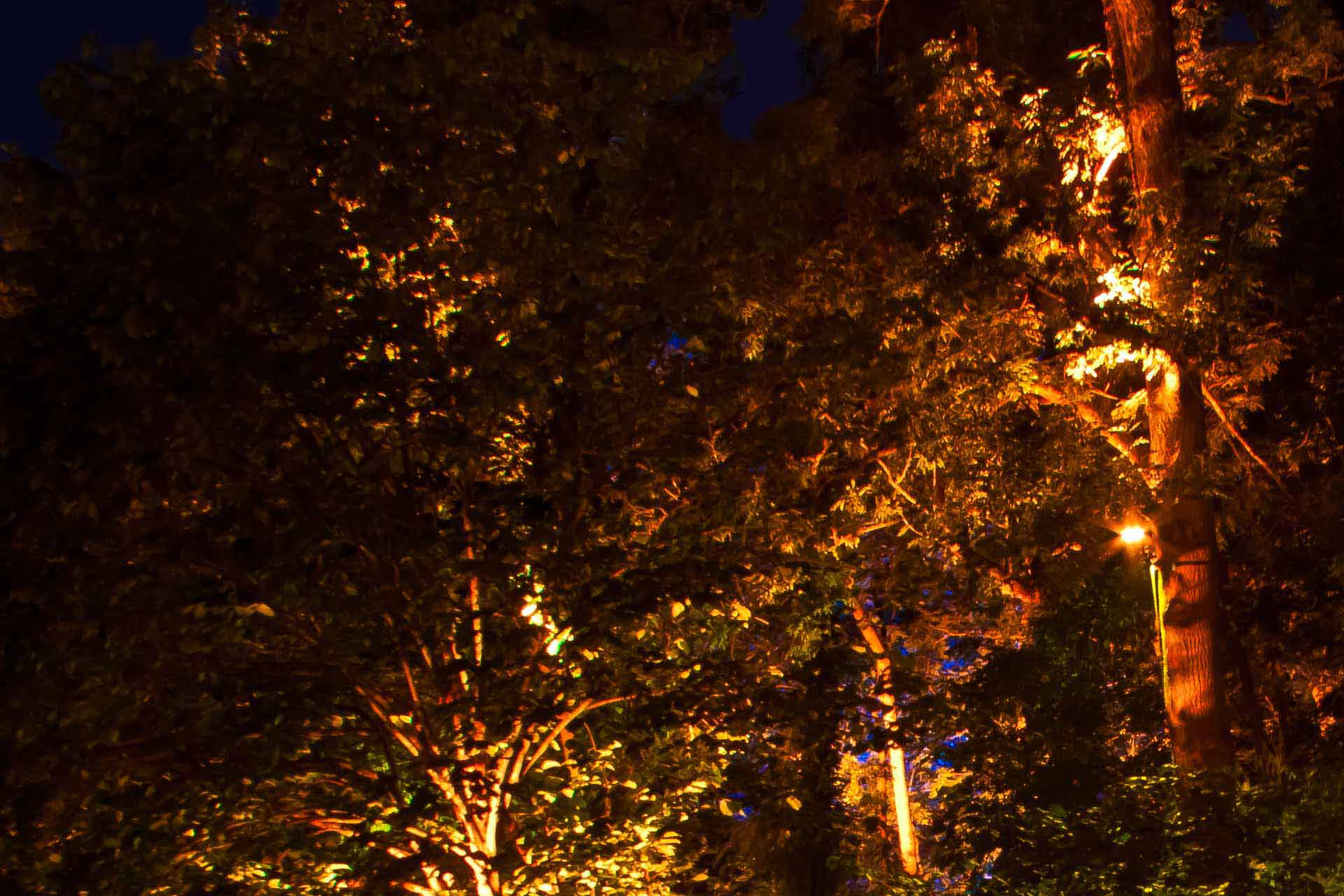 Licht . Ton . Video